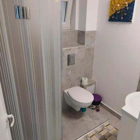 Homestay Apartament La Curte Anamaria *